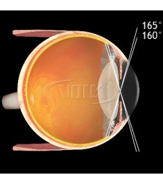 LOUPE  VOLK SUPER QUAD 160 2
