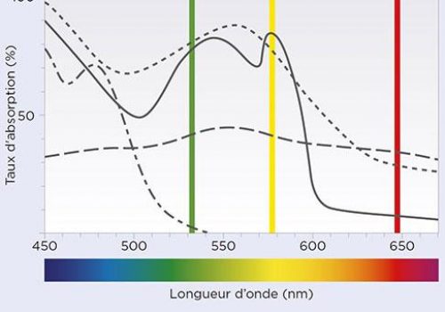 PageProduit_MC500_Description_Visuel1_Couleurs